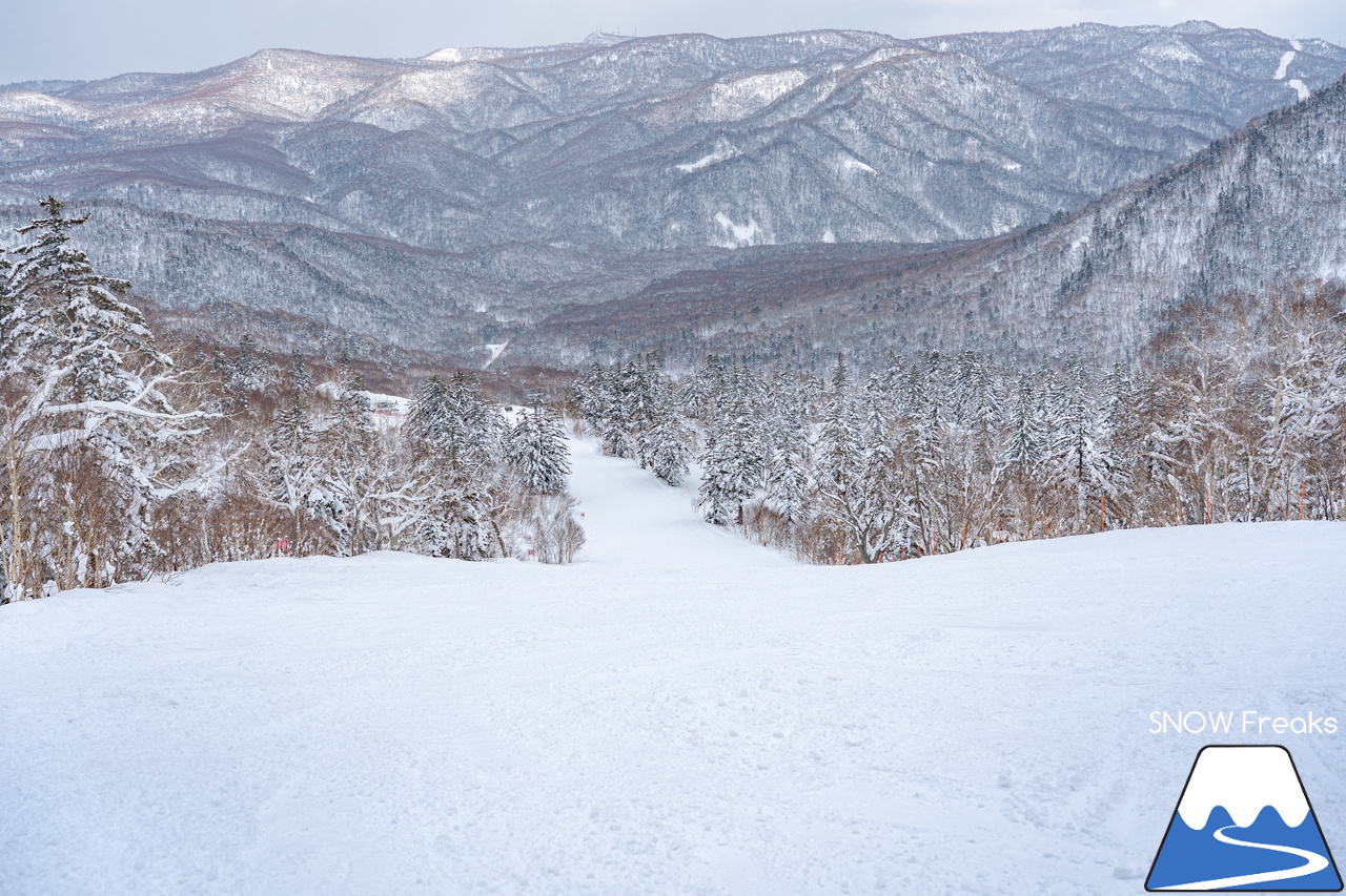 札幌国際スキー場｜３月の平日。粉雪コンディション、ゴンドラ＆リフト待ち無し、もちろん、ゲレンデも混雑無し。要するに、最高です(^_-)-☆